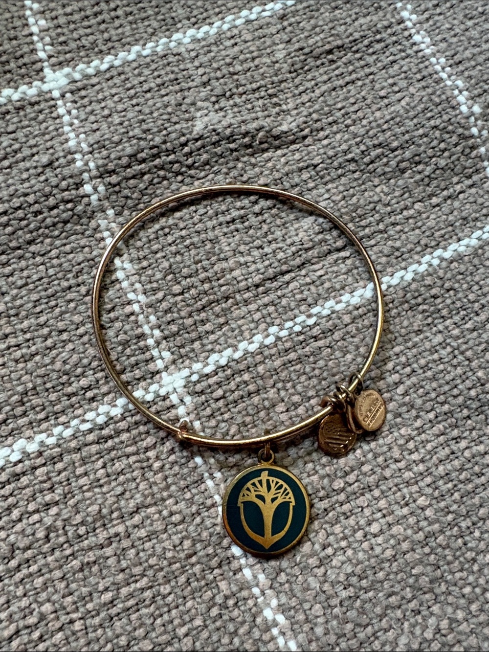Alex and Ani Gold-Tone Bangle with Dark Green Tree Charm